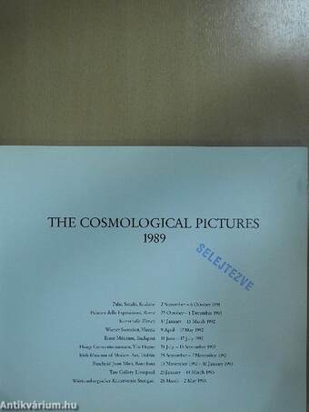 The Cosmological Pictures