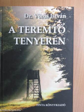 A teremtő tenyerén