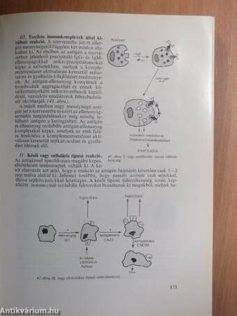 Orvosi mikrobiológia, immunitástan, parazitológia