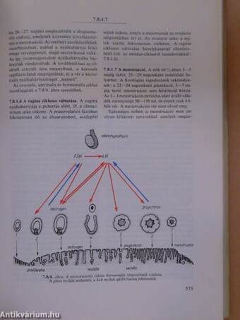 Orvosi élettan 1-2.