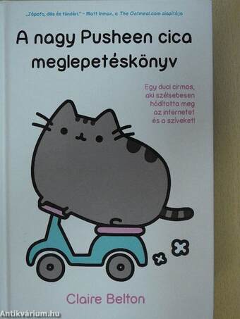 A nagy Pusheen cica meglepetéskönyv