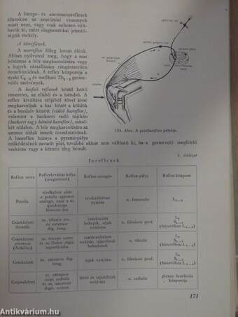 Állatorvosi belgyógyászati diagnosztika