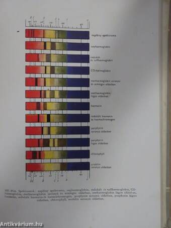 Állatorvosi belgyógyászati diagnosztika