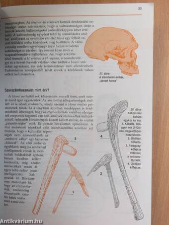 Ádámtól származik az ember?