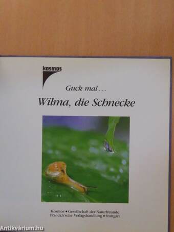 Wilma die Schnecke