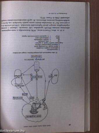 A Magyar Tudományos Akadémia V. Orvosi Tudományok Osztályának Közleményei 1.