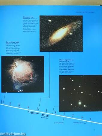 The natural history of the universe