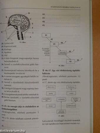 Így készülj a kétszintű érettségire biológiából!