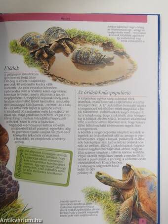 A Galápagos-szigetek és az Andok állatvilága