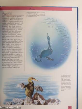 A Galápagos-szigetek és az Andok állatvilága