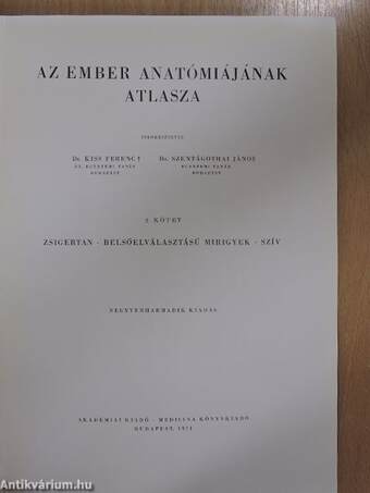 Az ember anatómiájának atlasza II. (töredék)