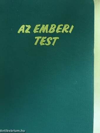 Az emberi test 1. (töredék)