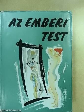 Az emberi test 2. (töredék)