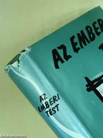 Az emberi test 2. (töredék)