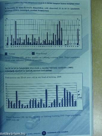 Felnőttképzés a XXI. században - Igények, elvek, tartalmak, formák, módszerek