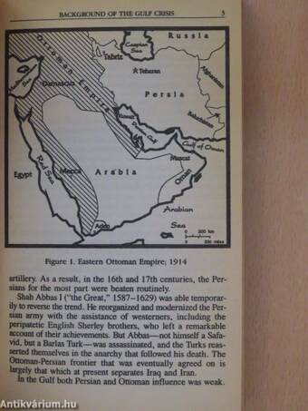 How to defeat Saddam Hussein