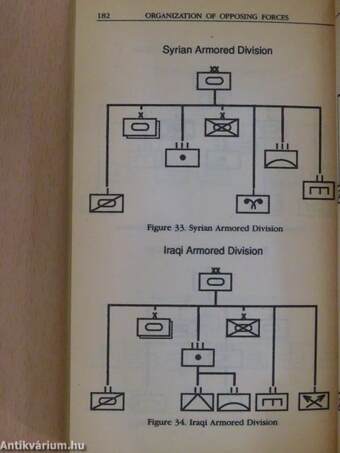 How to defeat Saddam Hussein