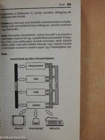 Számítástechnika és multimédia