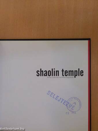 Shaolin Temple