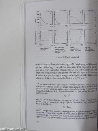 A világ népességének rövid története