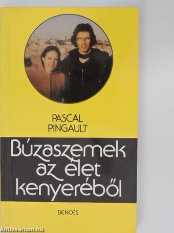 Búzaszemek az élet kenyeréből