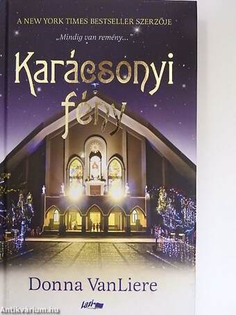 Karácsonyi fény