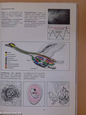 Biologie 6