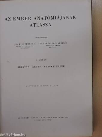 Az ember anatómiájának atlasza III. (töredék)