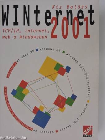 WINternet 2001