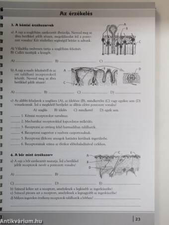 A varázslatos emberi test - Biológia