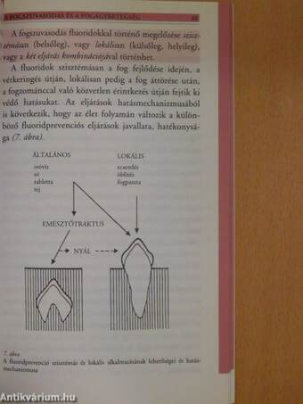 Fogunk védelmében