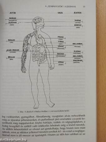 Ayurveda mindenkinek (dedikált példány)