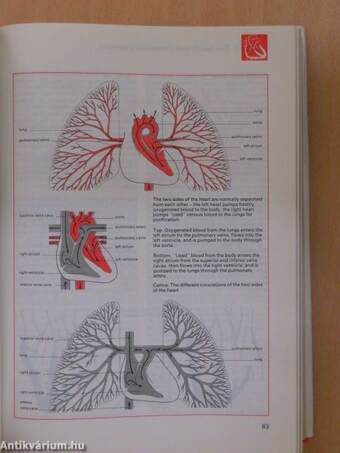 The Royal Society of Medicine Family Medical Guide