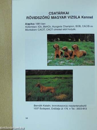 A magyar vizsla (dedikált példány)