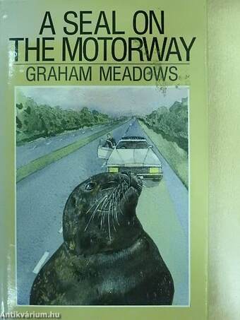 A seal on the motorway