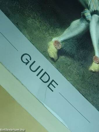 The Metropolitan Museum of Art Guide