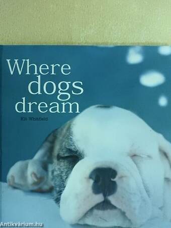 Where dogs dream