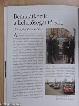 Biztosítási Almanach 2013