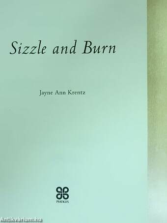 Sizzle and Burn