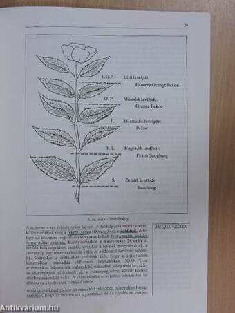 Élelmianyagismeret II/4.