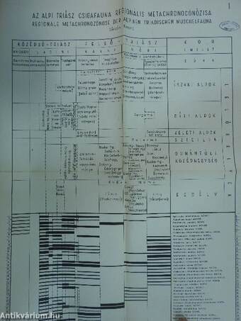 A Magyar Állami Földtani Intézet Évkönyve 1961/2.