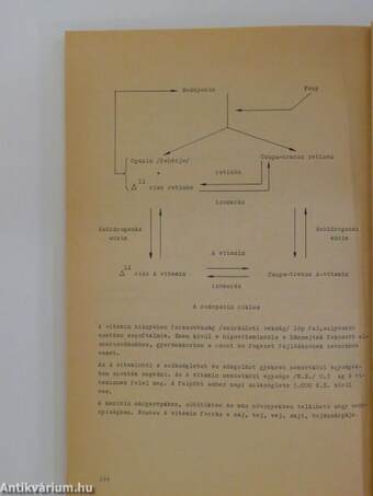 Bioorganikus kémia II.