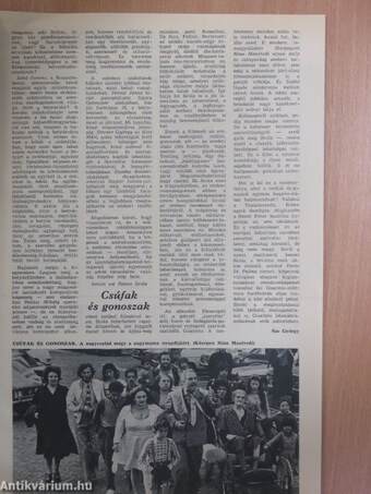 Film-Színház-Muzsika 1979. augusztus 4.