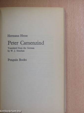 Peter Camenzind