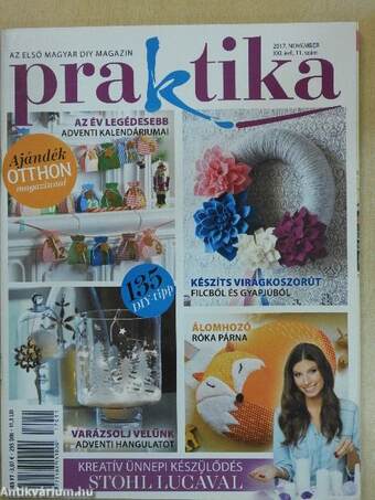 Praktika 2017. november