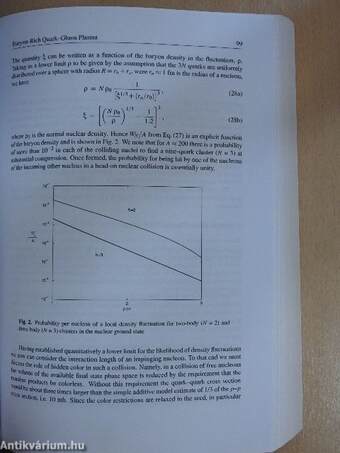 Proceedings of the Symposium on Fundamental Issues in Elementary Matter