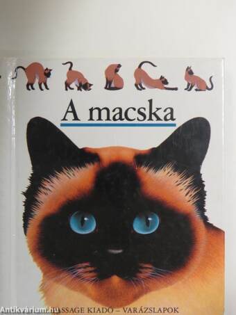 A macska