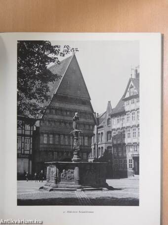 Der schöne Brunnen