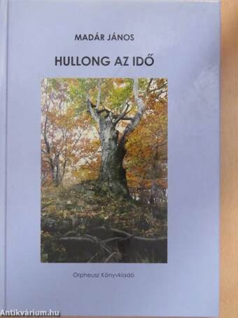 Hullong az idő