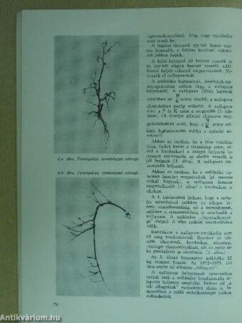 Tudomány és Mezőgazdaság 1975. szeptember-október